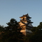朝日をうけて