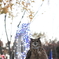 森林公園