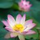 20120722-IMGP0667