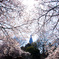 20120408-IMGP9002
