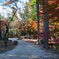 曽木公園の紅葉