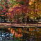 曽木公園の紅葉