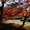 曽木公園の紅葉