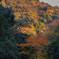 2012-11-23　散歩