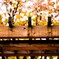 紅葉と柱
