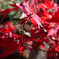 _DSC4656_002