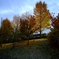 DSCF2207