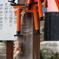 クマに願いを