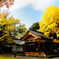 武田神社ひのき舞台