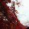 20121117_京都伏見遠足05