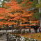 紅葉　2