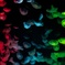 Colorful Jellyfish