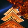 月の明かり、そして慈悲の光