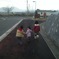 Cousins