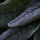 K5IM0231_R