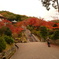 三室戸寺