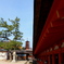 陰陽