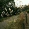 明日香村