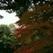 明日香村