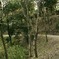 明日香村