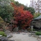日本の庭と紅葉
