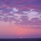 日本海の夕日色