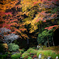 紅葉のある池