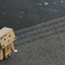 ぼーっと