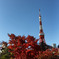 秋晴東京