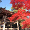 犬山寂光院