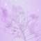 Snow tree