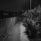 Nocturne