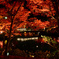 永観堂 紅葉ライトアップ
