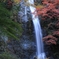 紅葉の滝