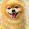 ラム１６歳