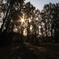 almost end of fall....