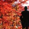 紅葉を見に行った