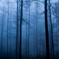 Morning Blue ~ Fresh air ~ 