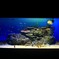 海の部屋