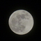 今宵の月（満月）