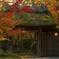 湯布院の紅葉