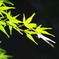 和１