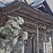 阿伎留神社の狛犬