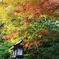 弥彦神社入口