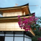 金閣寺