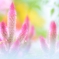 ニョキニョキ～♪