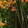 静寂の嵐