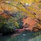 六義園