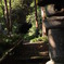 鎌倉の苔寺