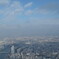 東京ビュウ